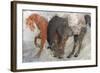 Blaze and Shadow-Albena Hristova-Framed Art Print