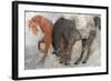 Blaze and Shadow-Albena Hristova-Framed Art Print