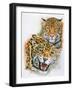 Blaze of Glory-Barbara Keith-Framed Giclee Print