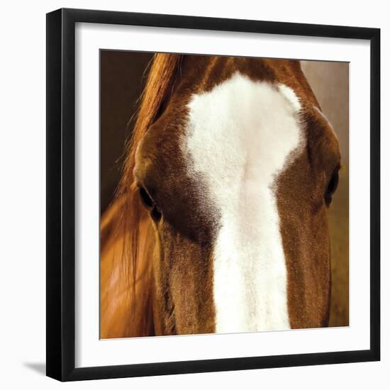 Blaze-Ray Hartl-Framed Giclee Print