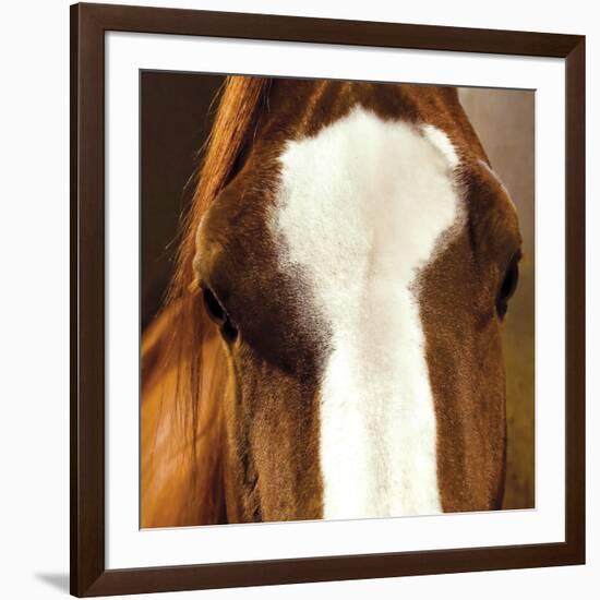 Blaze-Ray Hartl-Framed Giclee Print