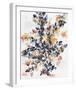 Blazing Blooms-Emilija Tumbova-Framed Giclee Print