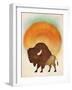 Blazing Sun Bison-Ryan Fowler-Framed Art Print