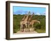 Blckade-Karel Gallas-Framed Photographic Print