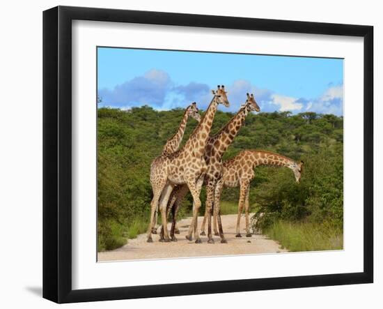 Blckade-Karel Gallas-Framed Photographic Print