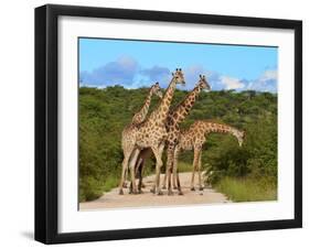 Blckade-Karel Gallas-Framed Photographic Print