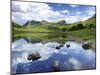 Blea Tarn and Langdale Pikes, Lake District National Park, Cumbria, England, United Kingdom, Europe-Jeremy Lightfoot-Mounted Photographic Print