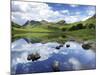 Blea Tarn and Langdale Pikes, Lake District National Park, Cumbria, England, United Kingdom, Europe-Jeremy Lightfoot-Mounted Photographic Print