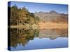 Blea Tarn, Lake District, Cumbria, UK-Doug Pearson-Stretched Canvas