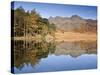 Blea Tarn, Lake District, Cumbria, UK-Doug Pearson-Stretched Canvas