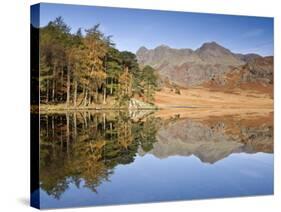 Blea Tarn, Lake District, Cumbria, UK-Doug Pearson-Stretched Canvas