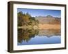 Blea Tarn, Lake District, Cumbria, UK-Doug Pearson-Framed Photographic Print