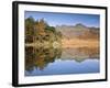 Blea Tarn, Lake District, Cumbria, UK-Doug Pearson-Framed Photographic Print