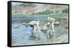 Blea Tarn Summer, 1987-John Cooke-Framed Stretched Canvas