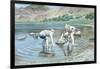 Blea Tarn Summer, 1987-John Cooke-Framed Giclee Print