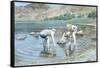 Blea Tarn Summer, 1987-John Cooke-Framed Stretched Canvas