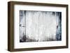 Bleach Wooden Texture-BenjaminLion-Framed Photographic Print