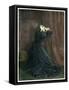 Bleak House by Charles Dickens-Frederick Barnard-Framed Stretched Canvas