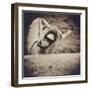 Bleating  Goat-Theo Westenberger-Framed Photographic Print