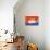 Bleating Pig-null-Stretched Canvas displayed on a wall