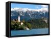 Bled Castle and Julian Alps, Lake Bled, Bled Island, Slovenia-Lisa S^ Engelbrecht-Framed Stretched Canvas