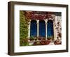 Bled Castle Window, Lake Bled, Bled Island, Slovenia-Lisa S. Engelbrecht-Framed Photographic Print