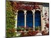 Bled Castle Window, Lake Bled, Bled Island, Slovenia-Lisa S. Engelbrecht-Mounted Photographic Print