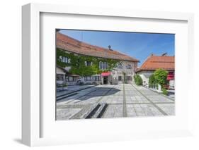 Bled Castle-Rob Tilley-Framed Photographic Print