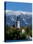 Bled Island and Julian Alps, Lake Bled, Slovenia-Lisa S. Engelbrecht-Stretched Canvas