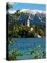 Bled Island and Julian Alps, Lake Bled, Slovenia-Lisa S. Engelbrecht-Stretched Canvas