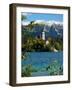 Bled Island and Julian Alps, Lake Bled, Slovenia-Lisa S. Engelbrecht-Framed Photographic Print