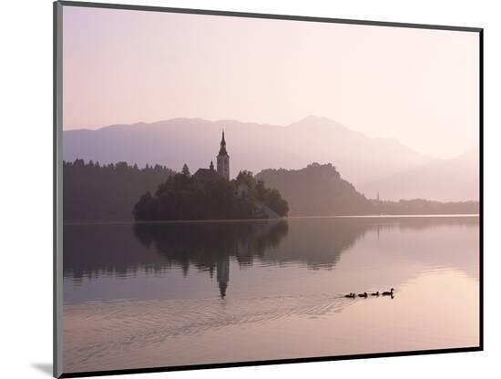 Photographic Print, , large
