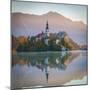 Bled Island with the Church of the Assumption and Bled Castle Illuminated at Dusk, Lake Bled-Doug Pearson-Mounted Photographic Print
