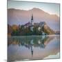 Bled Island with the Church of the Assumption and Bled Castle Illuminated at Dusk, Lake Bled-Doug Pearson-Mounted Photographic Print