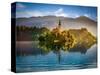 Bled Lake-Marco Carmassi-Stretched Canvas