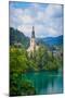 Bled, Upper Carniola, Slovenia. Church of the Assumption on Bled Island.-null-Mounted Photographic Print