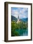 Bled, Upper Carniola, Slovenia. Church of the Assumption on Bled Island.-null-Framed Photographic Print