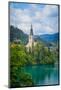 Bled, Upper Carniola, Slovenia. Church of the Assumption on Bled Island.-null-Mounted Photographic Print