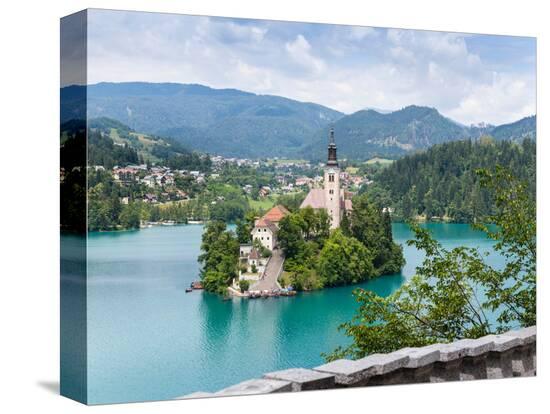 Stretched Canvas Print, , large