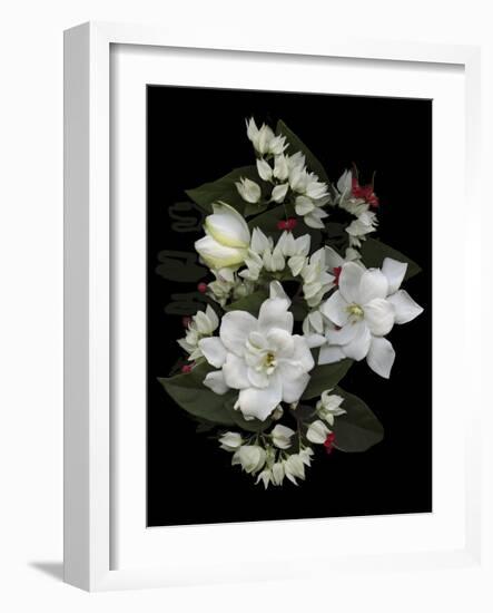 Bleeding Hearts and Gardenia-Susan S. Barmon-Framed Giclee Print