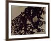 Blemish-Petr Strnad-Framed Photographic Print