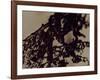 Blemish-Petr Strnad-Framed Photographic Print