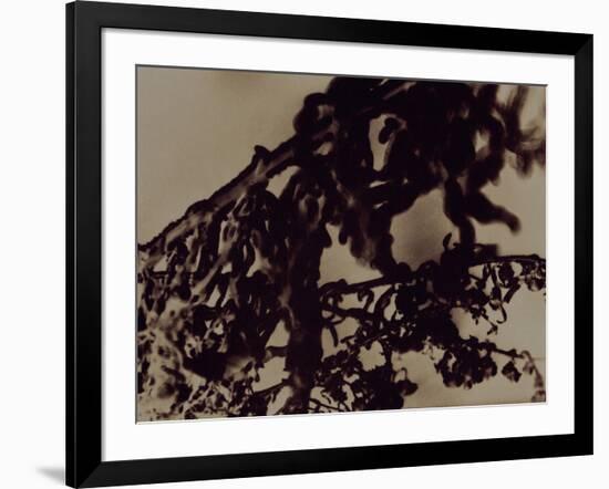 Blemish-Petr Strnad-Framed Photographic Print