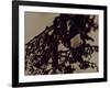 Blemish-Petr Strnad-Framed Photographic Print