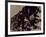 Blemish-Petr Strnad-Framed Photographic Print