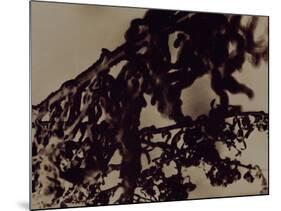 Blemish-Petr Strnad-Mounted Photographic Print