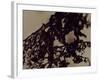 Blemish-Petr Strnad-Framed Photographic Print