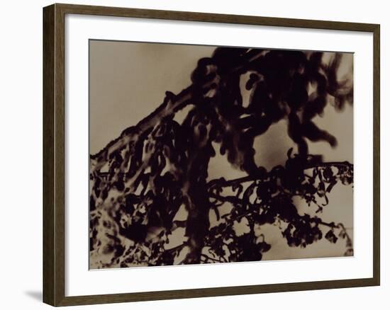 Blemish-Petr Strnad-Framed Photographic Print