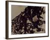 Blemish-Petr Strnad-Framed Photographic Print