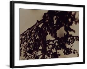 Blemish-Petr Strnad-Framed Photographic Print